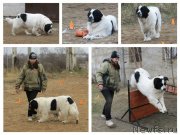 Превью фото № 139159