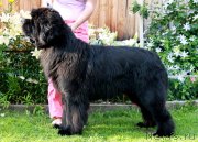 Превью фото № 139174