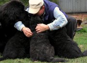 Превью фото № 139210