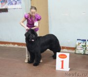 Превью фото № 139216