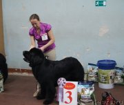 Превью фото № 139217