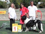 Превью фото № 139246