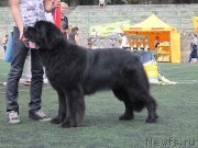 Превью фото № 139248