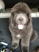 Превью фото № 139273