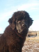 Превью фото № 139277