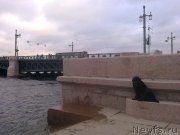 Превью фото № 139315