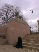 Превью фото № 139316