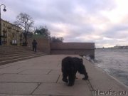 Превью фото № 139318