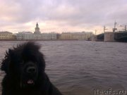 Превью фото № 139322