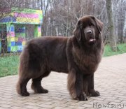 Превью фото № 139328