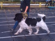 Превью фото № 139356