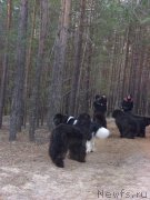 Превью фото № 139366