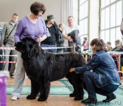 Превью фото № 139393