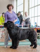 Превью фото № 139394