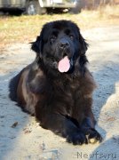 Превью фото № 139395