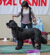 Превью фото № 139408