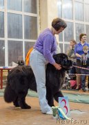 Превью фото № 139414