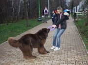 Превью фото № 139473