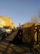 Превью фото № 139536