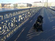 Превью фото № 139539