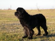 Превью фото № 139652