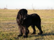 Превью фото № 139653