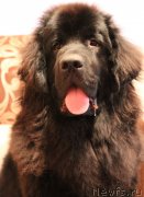 Превью фото № 139681