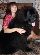 Превью фото № 139690