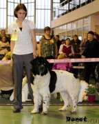 Превью фото № 139720