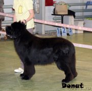 Превью фото № 139737