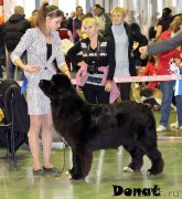 Превью фото № 139741