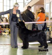 Превью фото № 139742