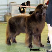 Превью фото № 139744