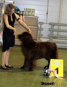 Превью фото № 139745