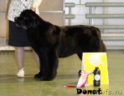 Превью фото № 139749