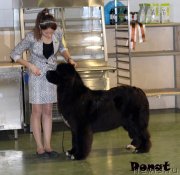 Превью фото № 139751