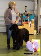 Превью фото № 139752