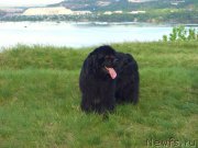 Превью фото № 139762