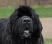 Превью фото № 139767