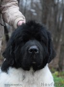 Превью фото № 139778