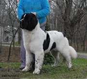 Превью фото № 139791