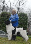 Превью фото № 139792