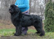 Превью фото № 139802