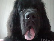 Превью фото № 139813