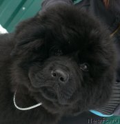 Превью фото № 139869