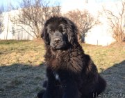 Превью фото № 139875