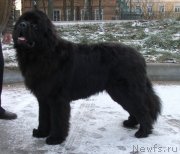 Превью фото № 139878