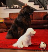 Превью фото № 139899