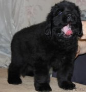 Превью фото № 139924