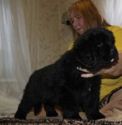 Превью фото № 139939